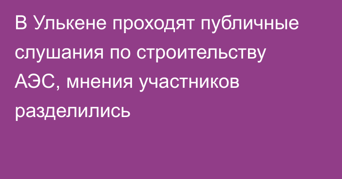 В Улькене проходят публичные слушания по строительству АЭС, мнения участников разделились