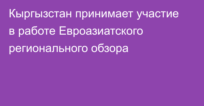 Кыргызстан принимает участие в работе Евроазиатского регионального обзора