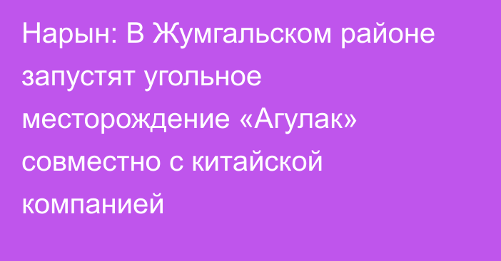 Нарын: В Жумгальском районе запустят угольное месторождение «Агулак» совместно с китайской компанией