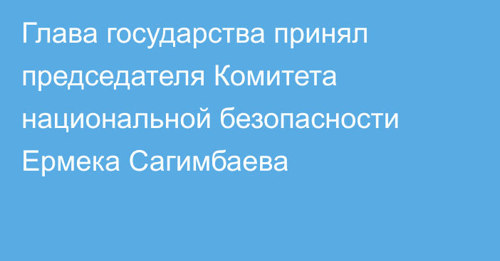 Глава государства принял председателя Комитета национальной безопасности Ермека Сагимбаева