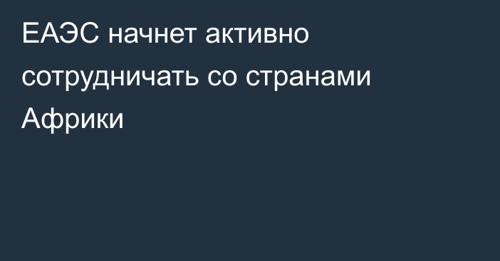 ЕАЭС начнет активно сотрудничать со странами Африки