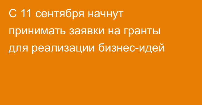 С 11 сентября начнут принимать заявки на гранты для реализации бизнес-идей