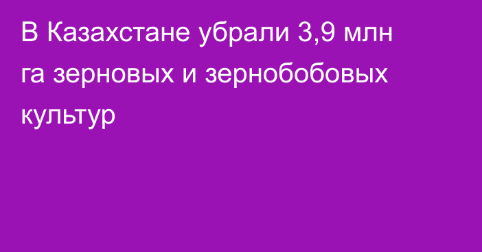 В Казахстане убрали 3,9 млн га зерновых и зернобобовых культур