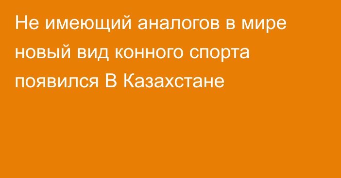 Не имеющий аналогов в мире новый вид конного спорта появился В Казахстане