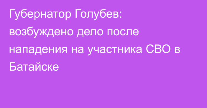 Губернатор Голубев: возбуждено дело после нападения на участника СВО в Батайске