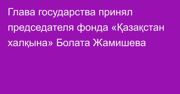 Глава государства принял председателя фонда «Қазақстан халқына» Болата Жамишева