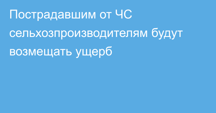 Пострадавшим от ЧС сельхозпроизводителям будут возмещать ущерб