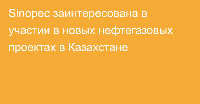 Sinopec заинтересована в участии в новых нефтегазовых проектах в Казахстане