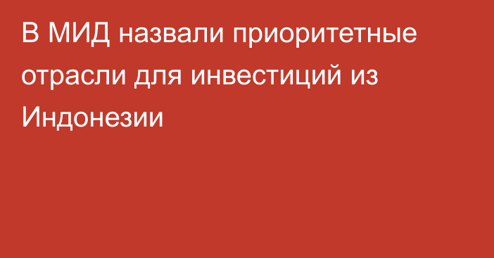 В МИД назвали приоритетные отрасли для инвестиций из Индонезии