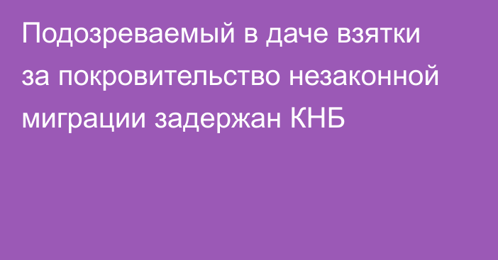 Подозреваемый в даче взятки за покровительство незаконной миграции задержан КНБ