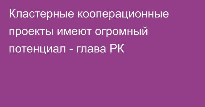 Кластерные кооперационные проекты имеют огромный потенциал - глава РК