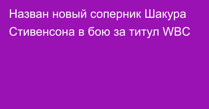 Назван новый соперник Шакура Стивенсона в бою за титул WBC