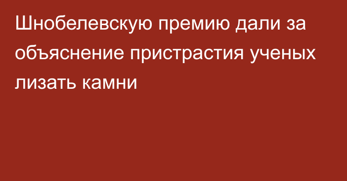 Шнобелевскую премию дали за объяснение пристрастия ученых лизать камни