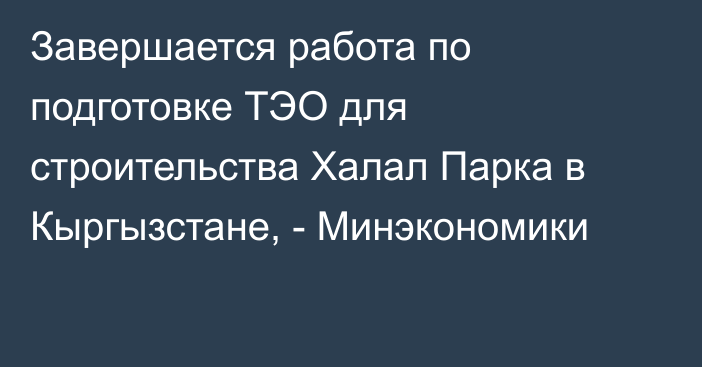 Завершается работа по подготовке ТЭО для строительства Халал Парка в Кыргызстане, - Минэкономики