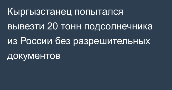 Кыргызстанец попытался вывезти 20 тонн подсолнечника из России без разрешительных документов