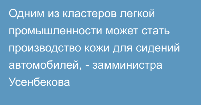 Одним из кластеров легкой промышленности может стать производство кожи для сидений автомобилей, - замминистра Усенбекова