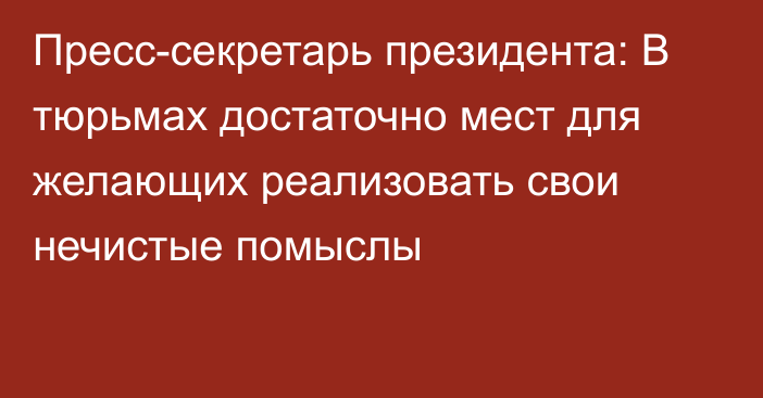 Пресс-секретарь президента: В тюрьмах достаточно мест для желающих реализовать свои нечистые помыслы