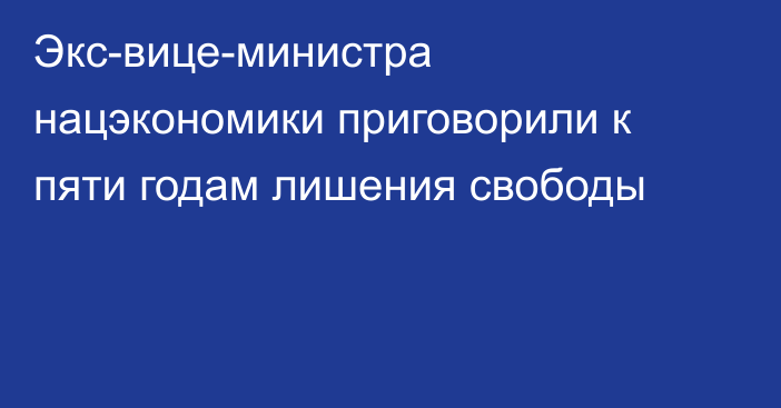 Экс-вице-министра нацэкономики приговорили к пяти годам лишения свободы