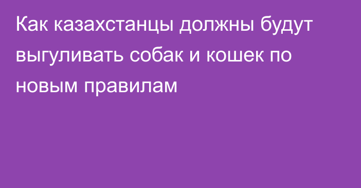 Как казахстанцы должны будут выгуливать собак и кошек по новым правилам