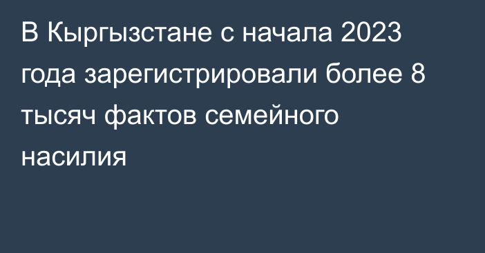 В Кыргызстане с начала 2023 года зарегистрировали более 8 тысяч фактов семейного насилия