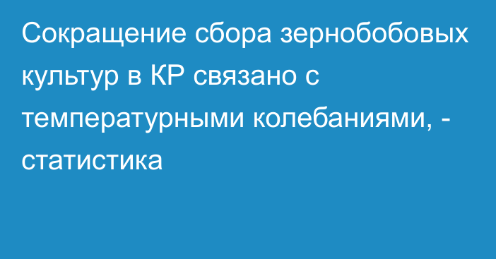 Сокращение сбора зернобобовых культур в КР связано с температурными колебаниями, - статистика