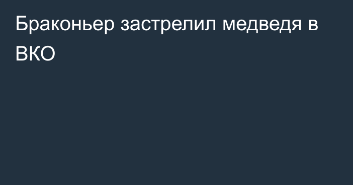 Браконьер застрелил медведя в ВКО