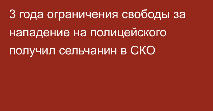 3 года ограничения свободы за нападение на полицейского получил сельчанин в СКО