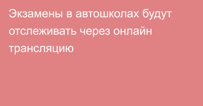 Экзамены в автошколах будут отслеживать через онлайн трансляцию