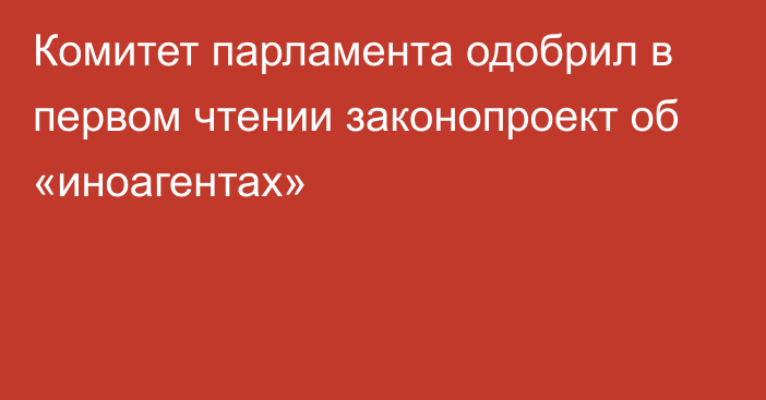 Комитет парламента одобрил в первом чтении законопроект об «иноагентах»