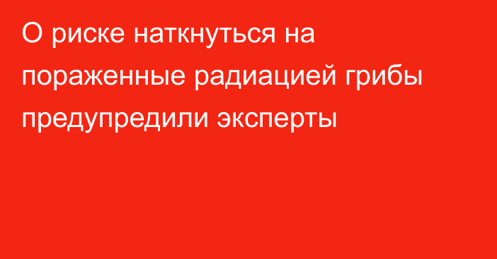 О риске наткнуться на пораженные радиацией грибы предупредили эксперты