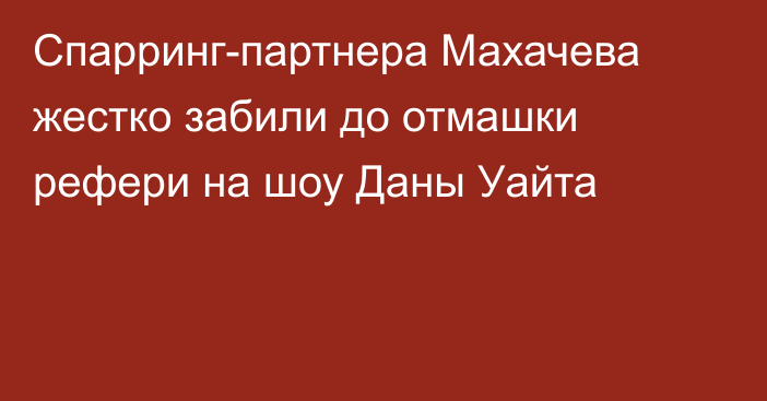 Cпарринг-партнера Махачева жестко забили до отмашки рефери на шоу Даны Уайта