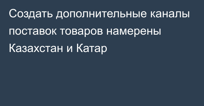 Создать дополнительные каналы поставок товаров намерены Казахстан и Катар