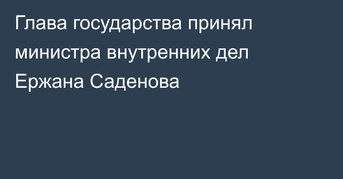 Глава государства принял министра внутренних дел Ержана Саденова 