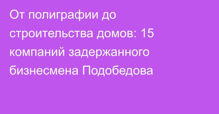 От полиграфии до строительства домов: 15 компаний задержанного бизнесмена Подобедова