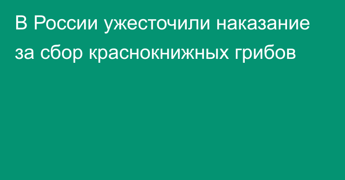 В России ужесточили наказание за сбор краснокнижных грибов