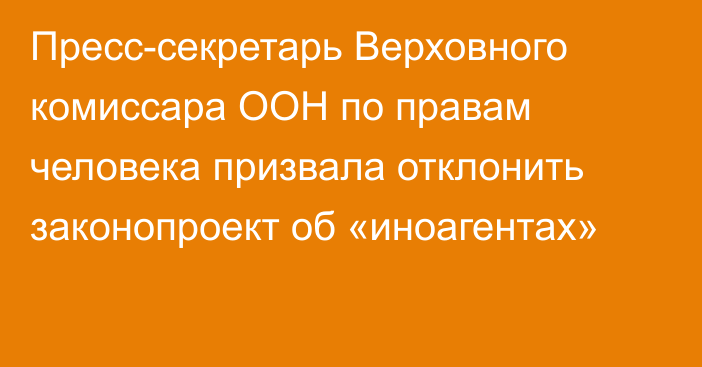 Пресс-секретарь Верховного комиссара ООН по правам человека призвала отклонить законопроект об «иноагентах»