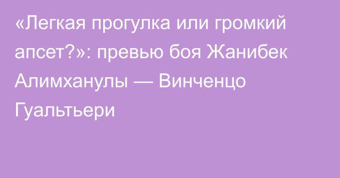 «Легкая прогулка или громкий апсет?»: превью боя Жанибек Алимханулы — Винченцо Гуальтьери