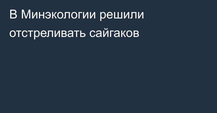 В Минэкологии решили отстреливать сайгаков