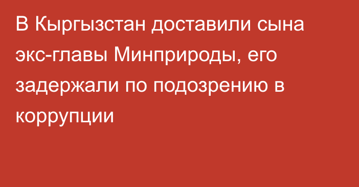 В Кыргызстан доставили сына экс-главы Минприроды, его задержали по подозрению в коррупции