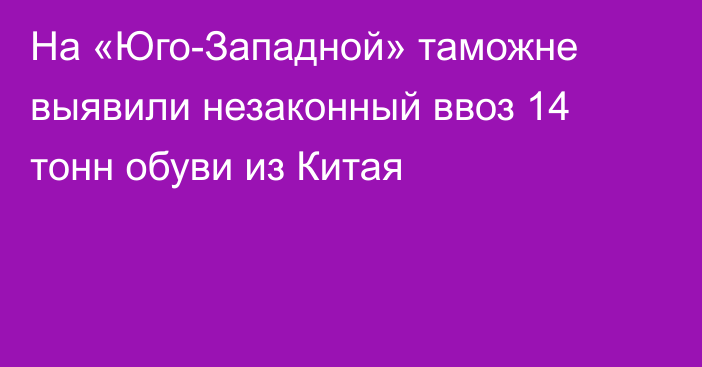 На «Юго-Западной» таможне выявили незаконный ввоз 14 тонн обуви из Китая