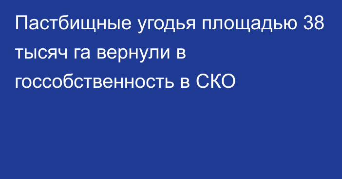 Пастбищные угодья площадью 38 тысяч га вернули в госсобственность в СКО