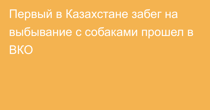 Первый в Казахстане забег на выбывание с собаками прошел в ВКО