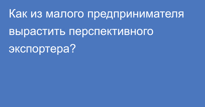 Как из малого предпринимателя вырастить перспективного экспортера?