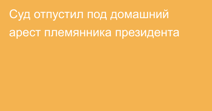 Суд отпустил под домашний арест племянника президента