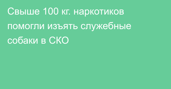 Свыше 100 кг. наркотиков помогли изъять служебные собаки в СКО