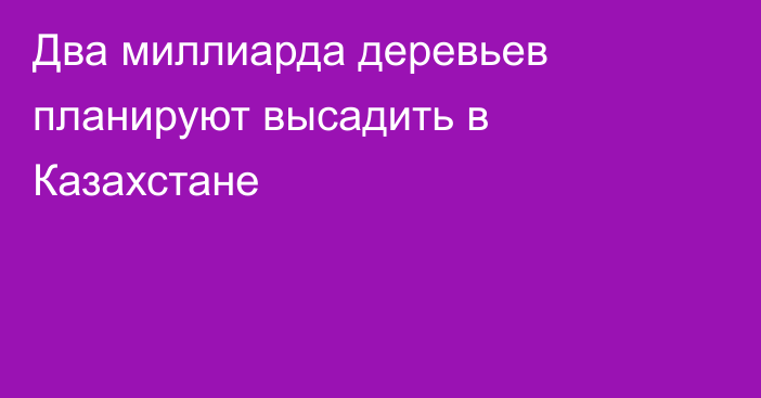 Два миллиарда деревьев планируют высадить в Казахстане