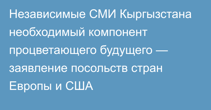 Независимые СМИ Кыргызстана необходимый компонент процветающего будущего — заявление посольств стран Европы и США