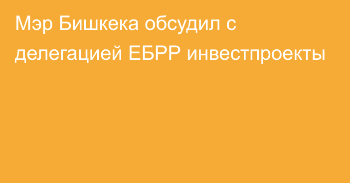 Мэр Бишкека обсудил с делегацией ЕБРР инвестпроекты