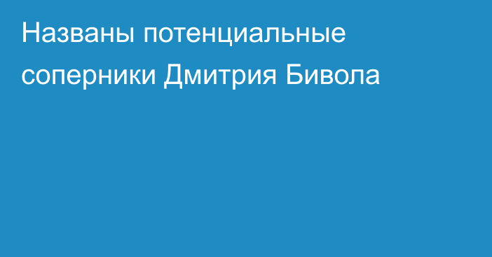 Названы потенциальные соперники Дмитрия Бивола