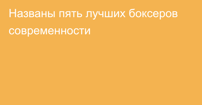 Названы пять лучших боксеров современности